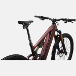 BICICLETA S-WORKS LEVO 4 - Imagem 9