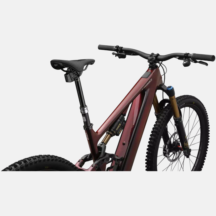 BICICLETA S-WORKS LEVO 4 - Imagem 9
